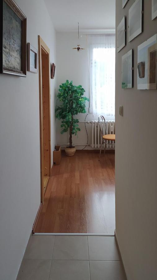 Apartman V סרני מראה חיצוני תמונה