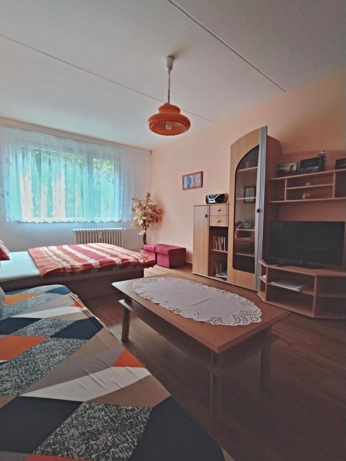 Apartman V סרני מראה חיצוני תמונה
